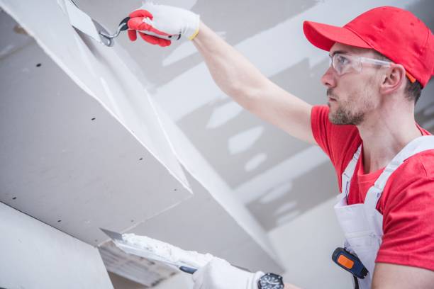 Best Fire-Damaged Drywall Repair  in Leonard, TX